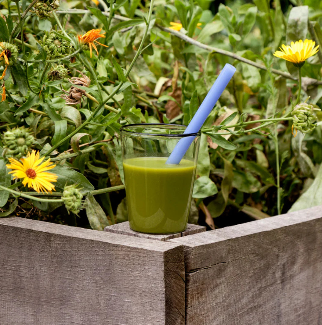 Sip Smoothie Straw Set