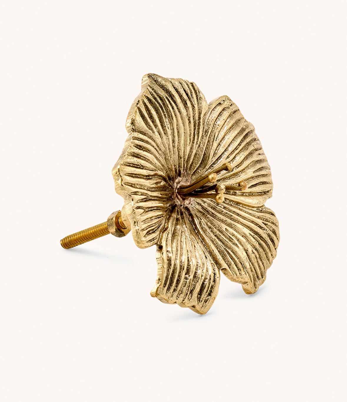 Hibiscus Knob