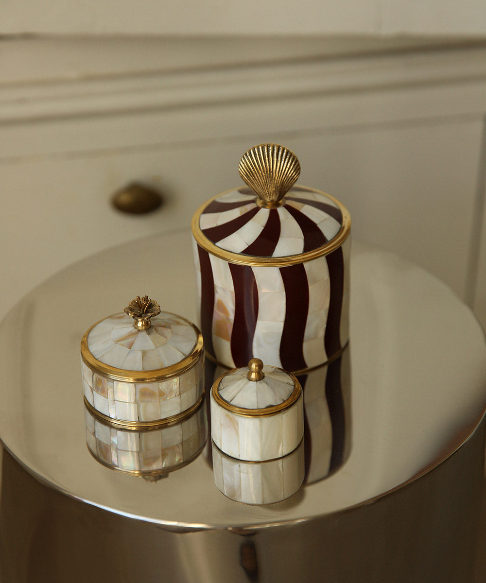 Abby Shell Circus Box Large