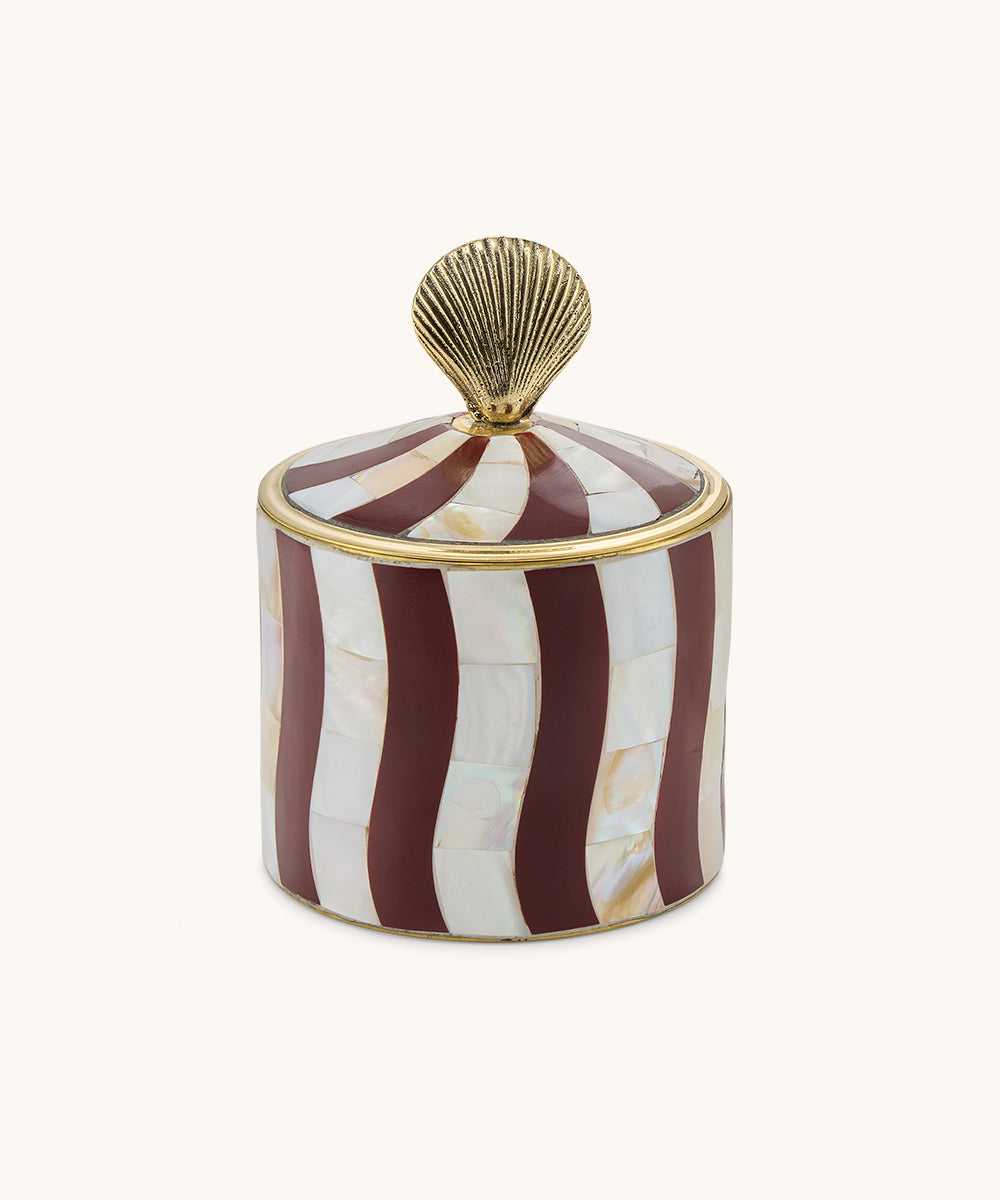 Abby Shell Circus Box Large