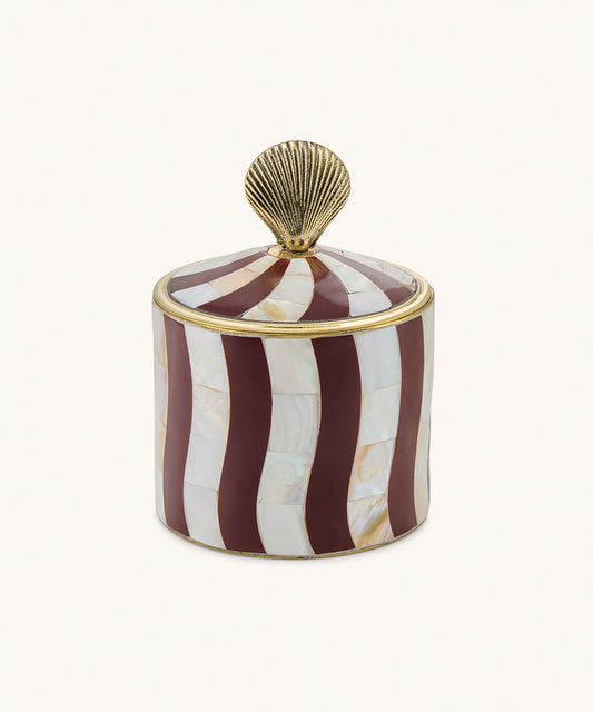 Abby Shell Circus Box Large