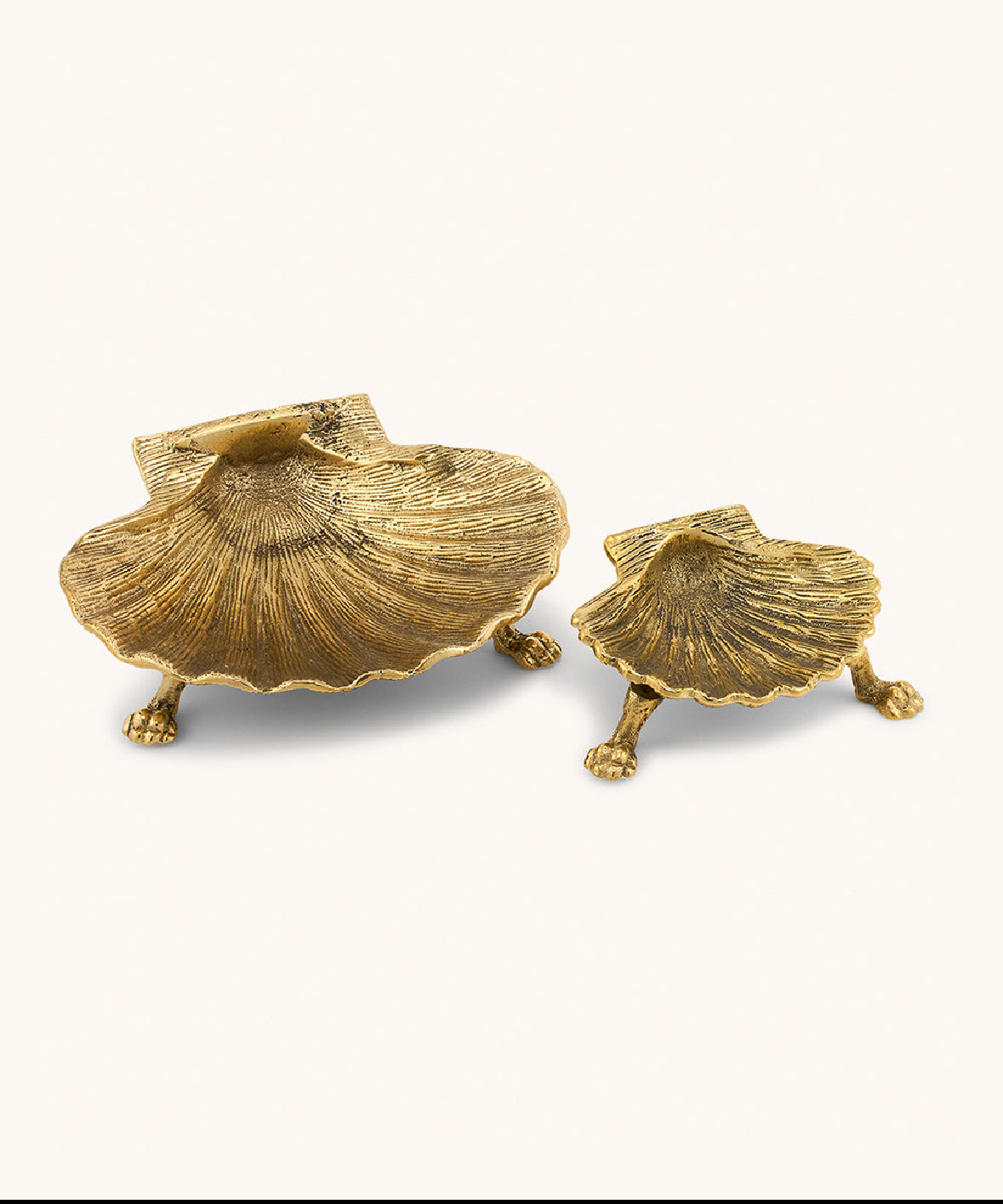 Scarlett Shell Trinket Plate Gift set