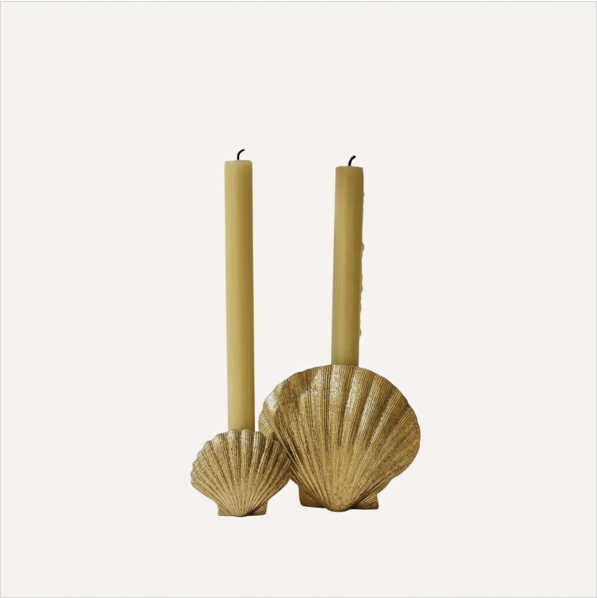 Scarlett Shell Candleholder Gift Set