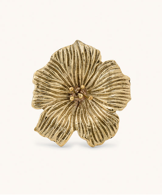 Hibiscus Knob