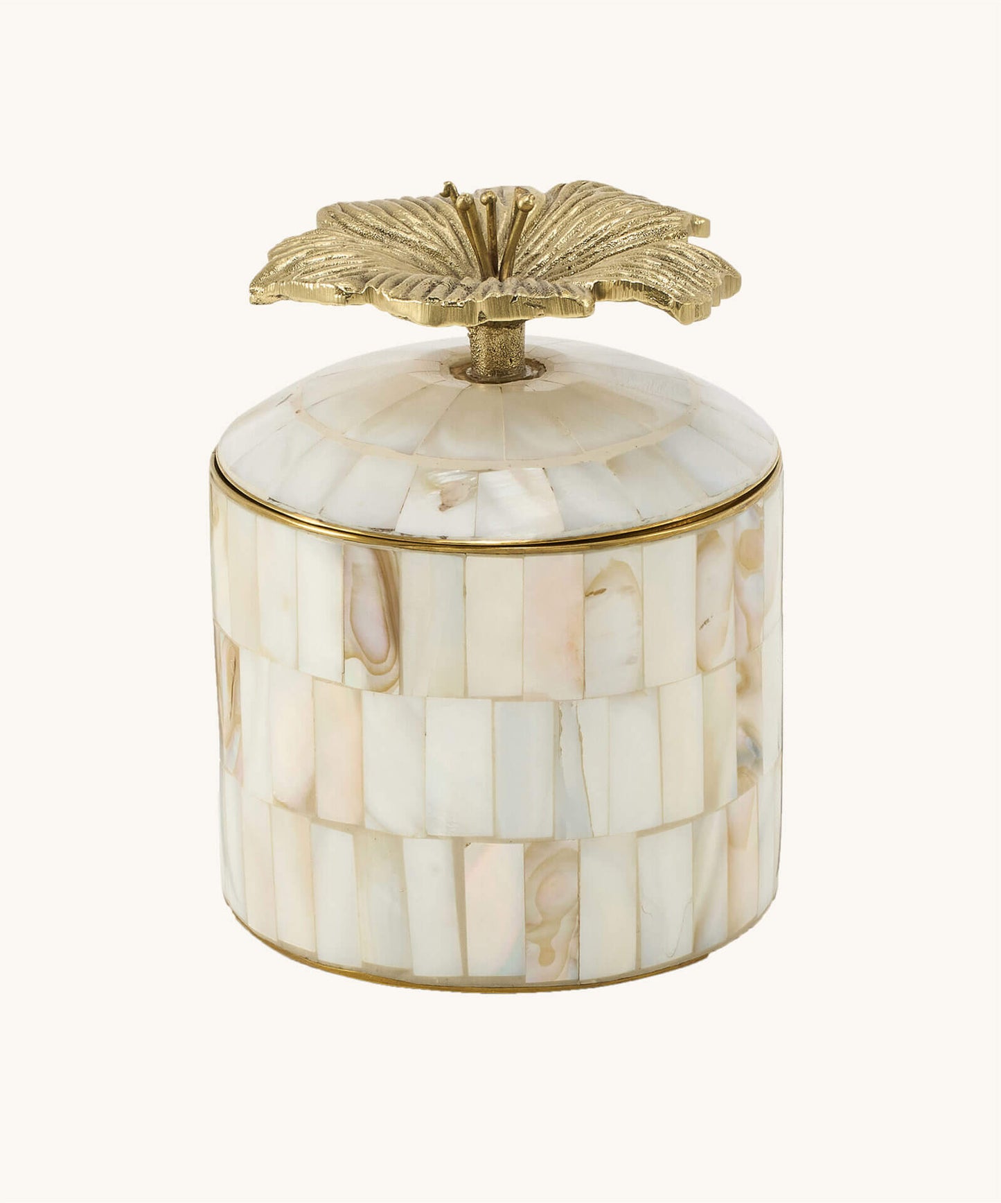 Hibiscus Circus Box Large